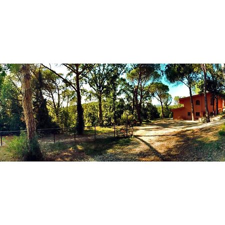 Agriturismo Poggio Al Pino 蒙特鲁朴·菲奥伦蒂诺 外观 照片