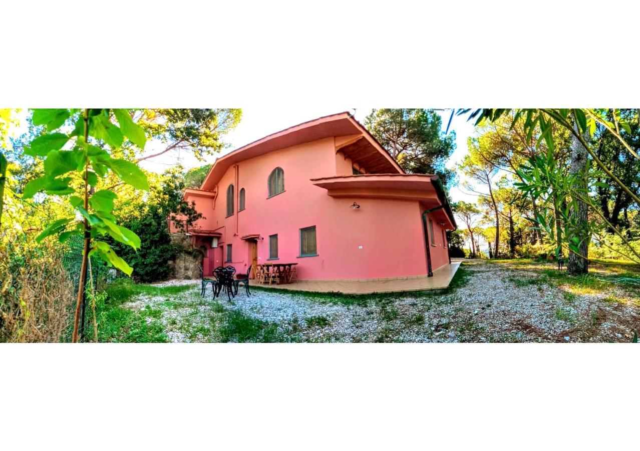 Agriturismo Poggio Al Pino 蒙特鲁朴·菲奥伦蒂诺 外观 照片