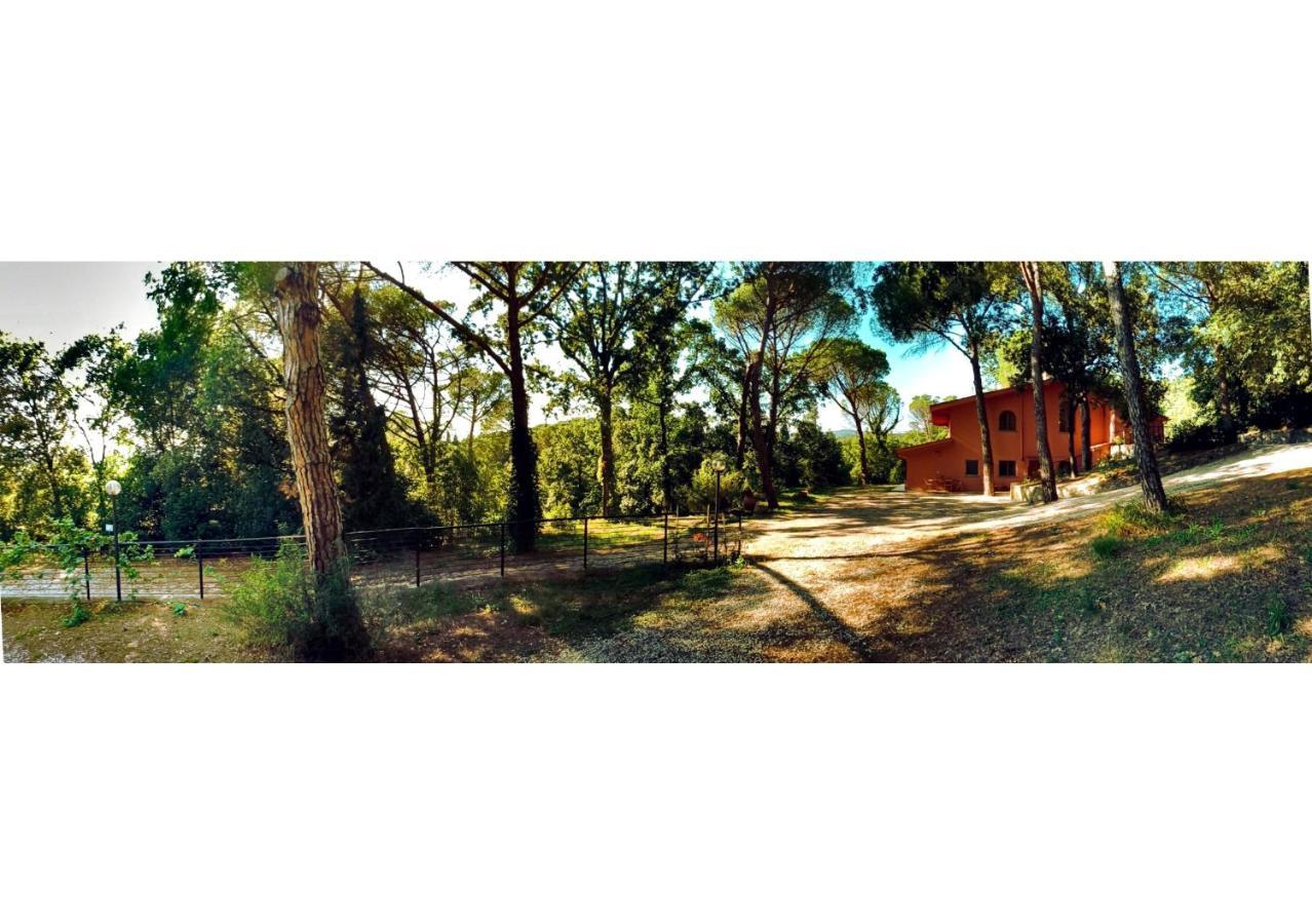 Agriturismo Poggio Al Pino 蒙特鲁朴·菲奥伦蒂诺 外观 照片