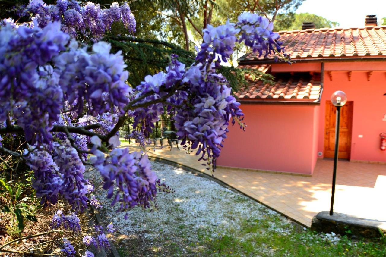 Agriturismo Poggio Al Pino 蒙特鲁朴·菲奥伦蒂诺 外观 照片