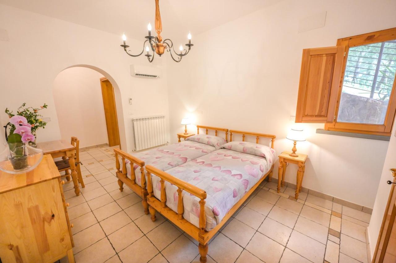 Agriturismo Poggio Al Pino 蒙特鲁朴·菲奥伦蒂诺 外观 照片