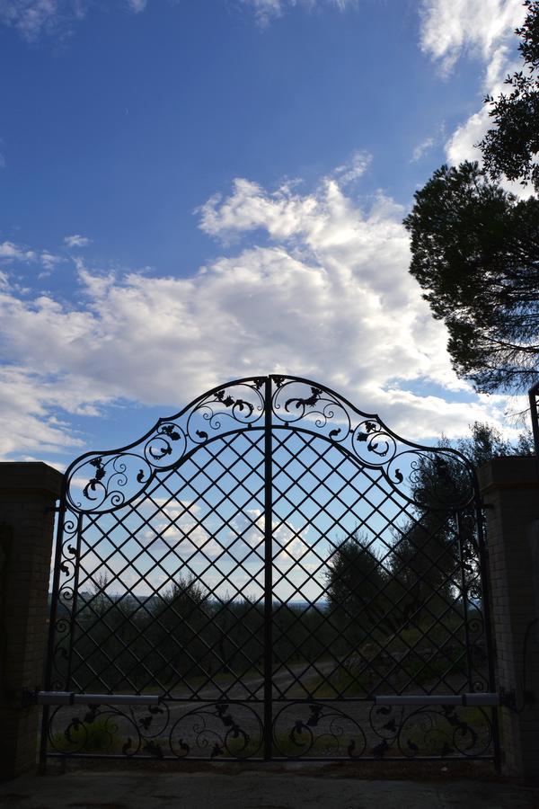 Agriturismo Poggio Al Pino 蒙特鲁朴·菲奥伦蒂诺 外观 照片