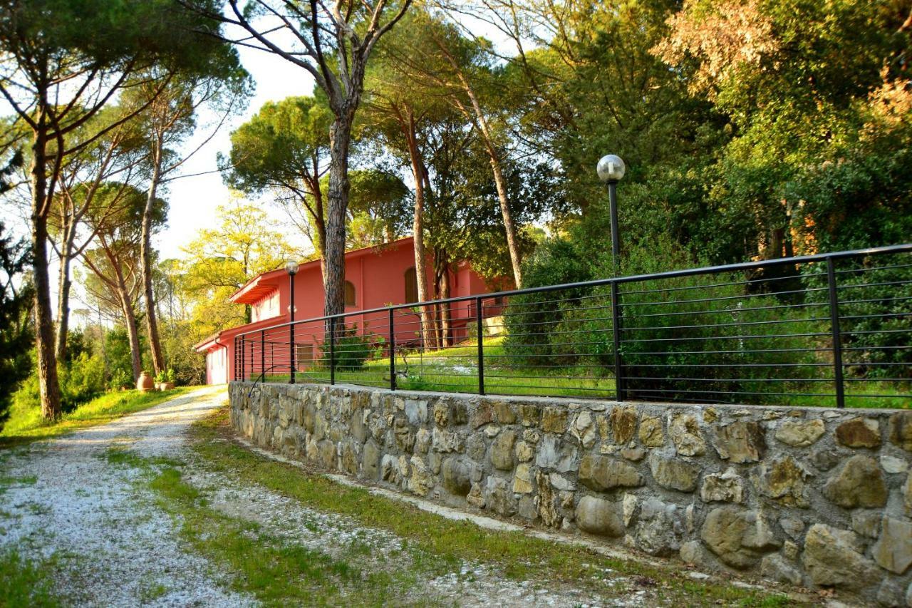 Agriturismo Poggio Al Pino 蒙特鲁朴·菲奥伦蒂诺 外观 照片