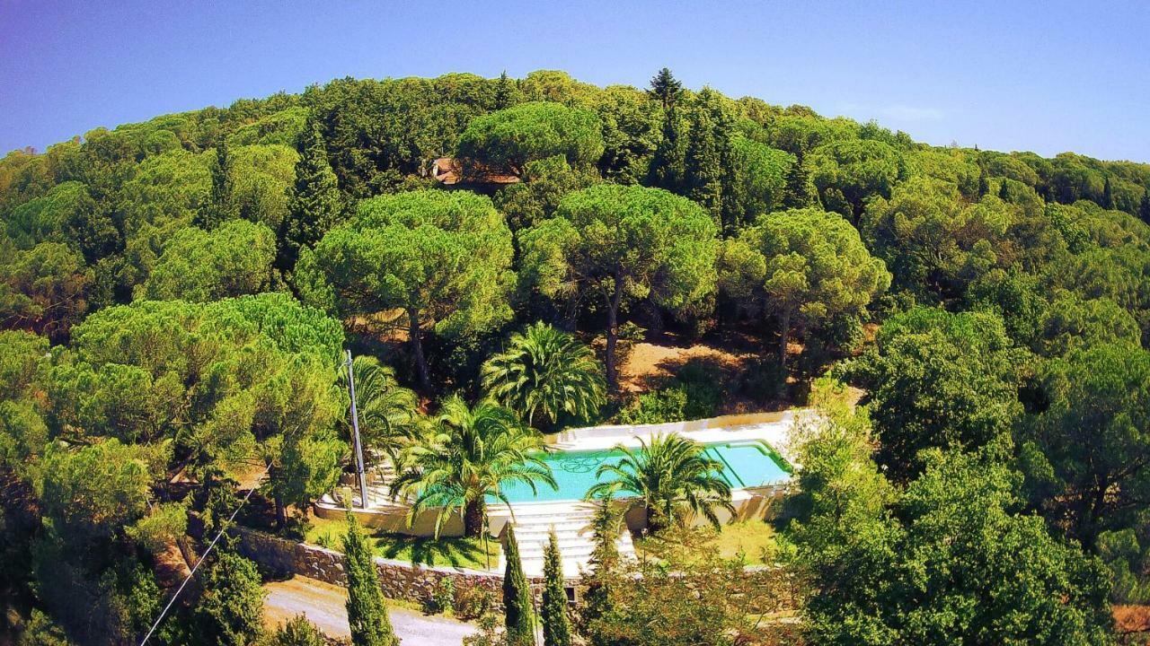 Agriturismo Poggio Al Pino 蒙特鲁朴·菲奥伦蒂诺 外观 照片